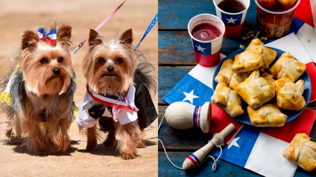Fiestas Patrias Mascotas