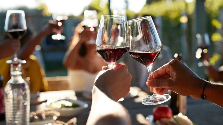 Fiestas Patrias Vino