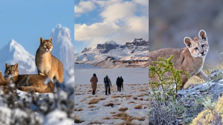 Hotel De La Patagonia