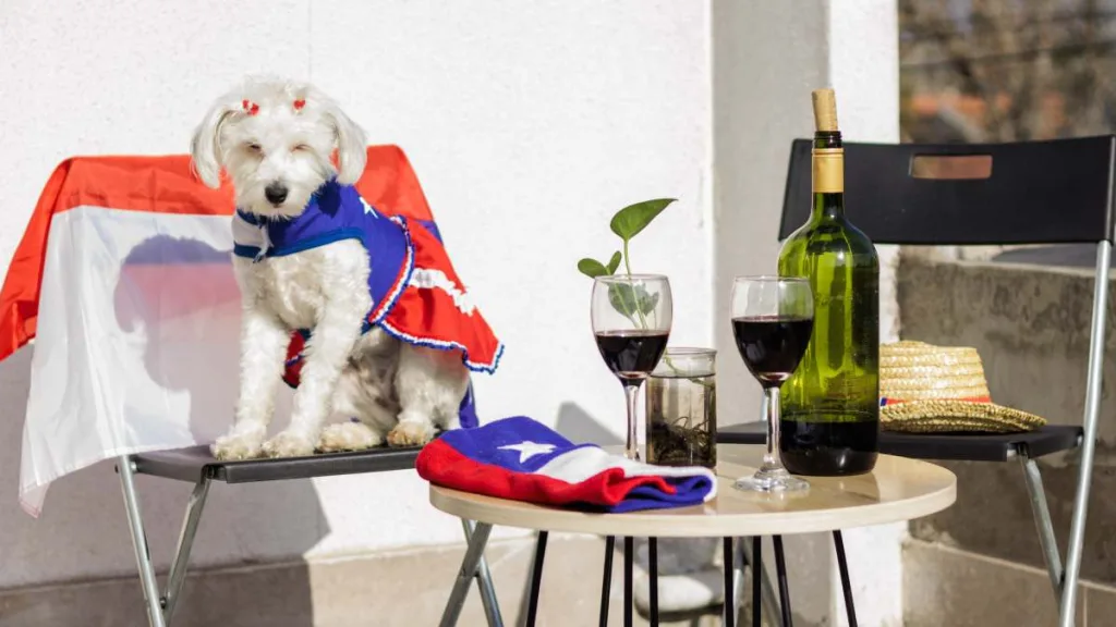 Mascotas Fiestas Patrias Chile