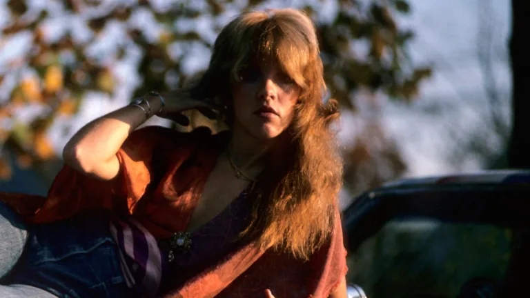 Stevie Nicks
