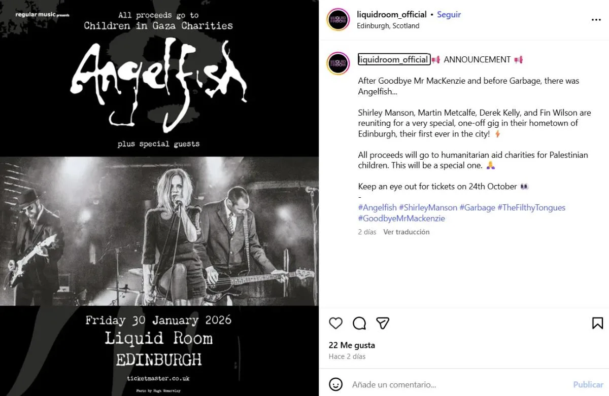 Angelfish Instagram