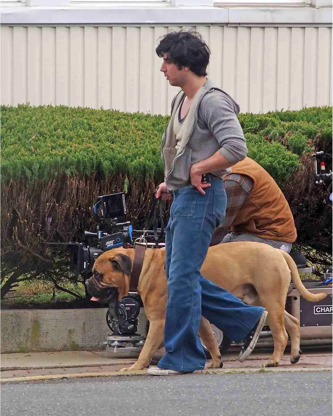 Anthony Ippolito Como Sylvester Stallone 3