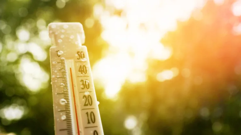 Calor Extremo En Santiago