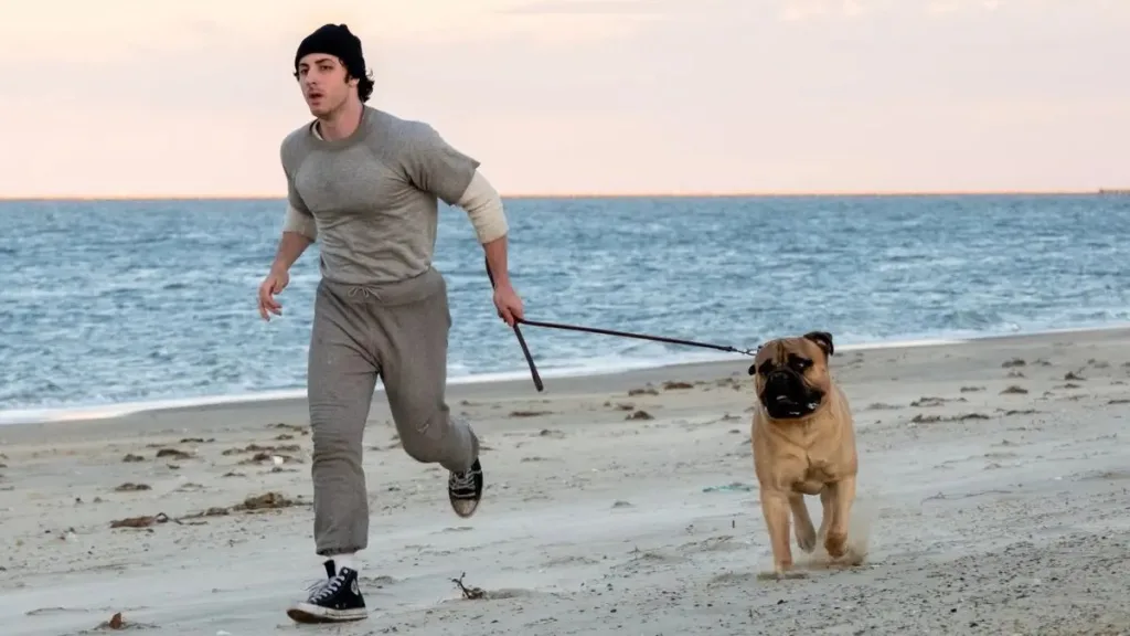 Sylvester Stalone Rocky