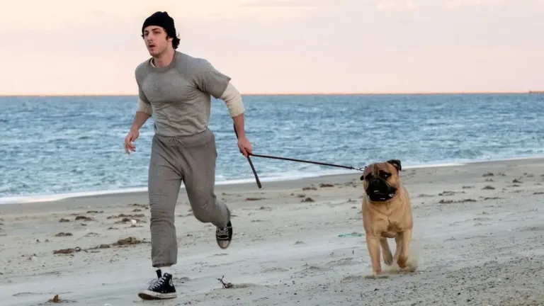 Sylvester Stalone Rocky