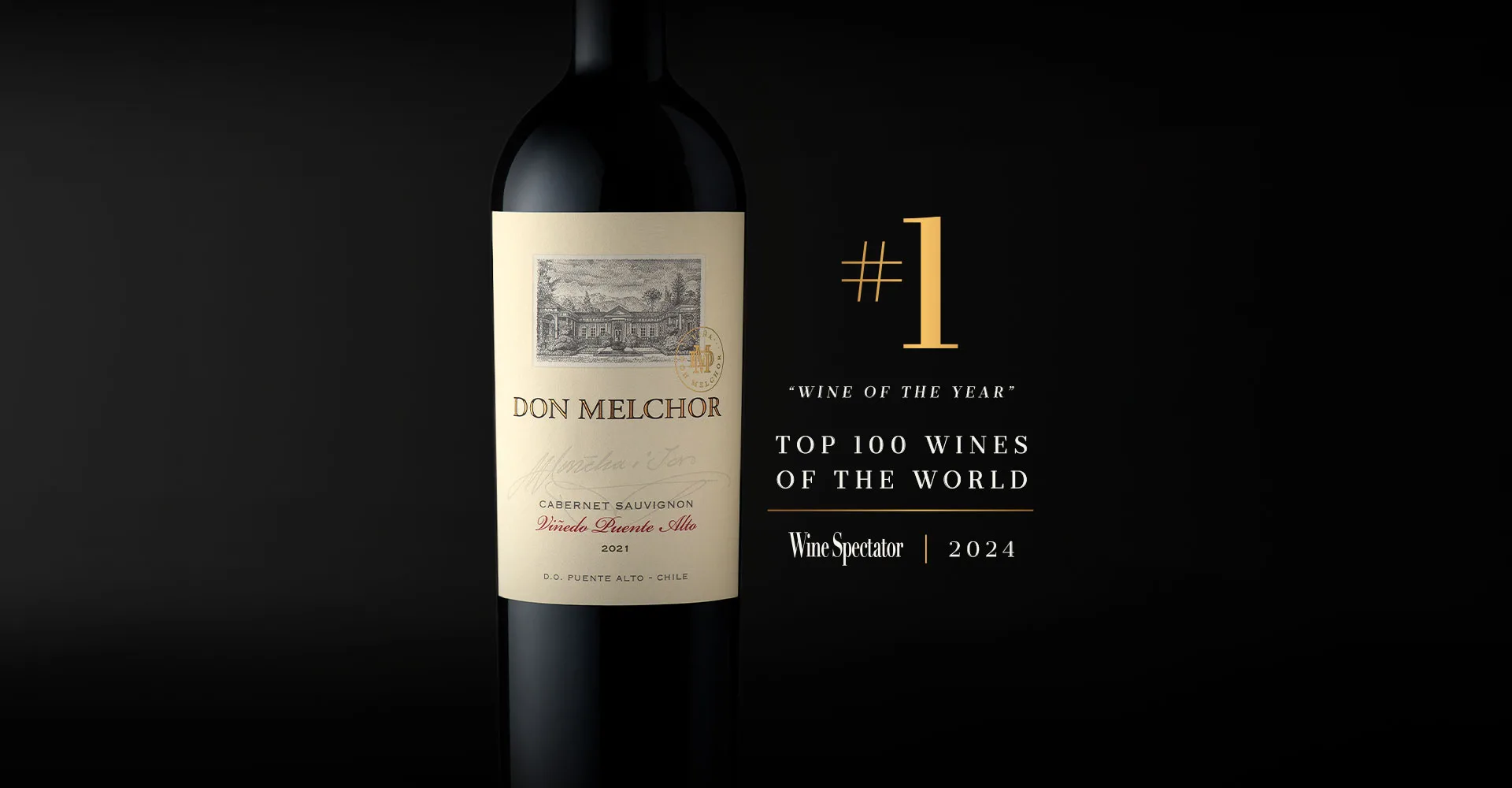 Vino Don Melchor 2021