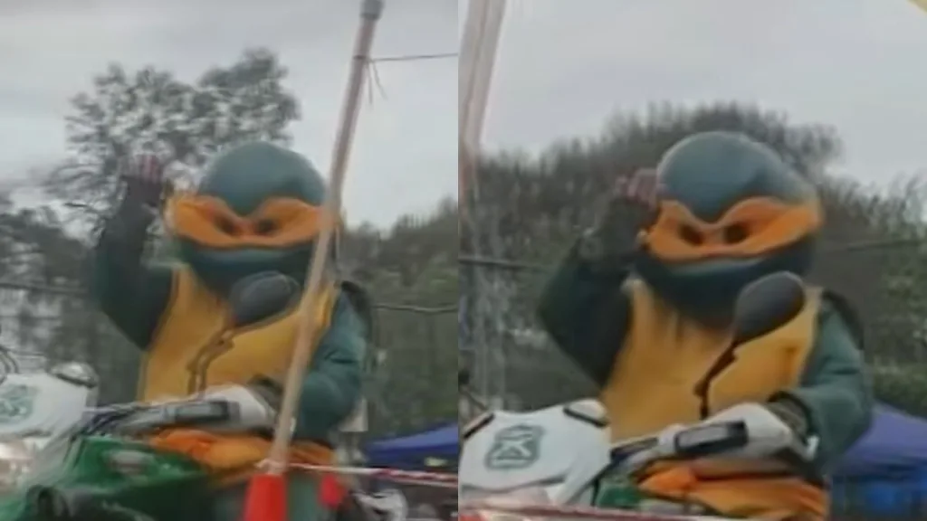 Carabineros de Chile, Tortugas Ninja