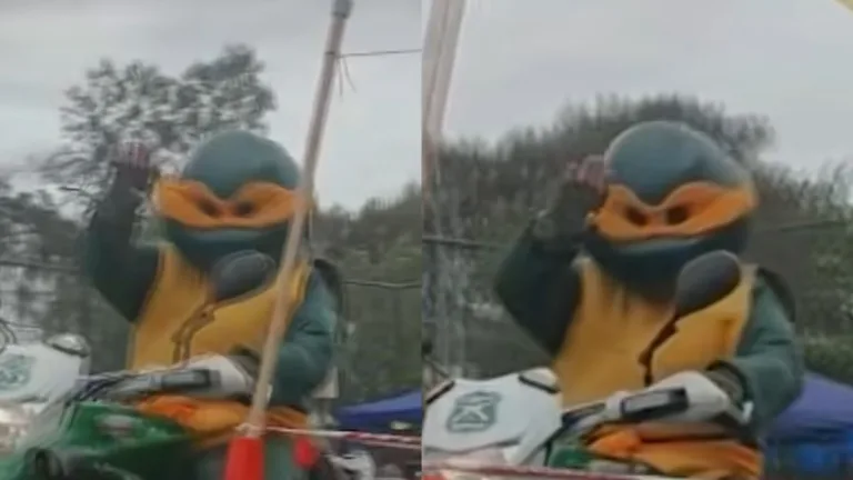 Carabineros de Chile, Tortugas Ninja