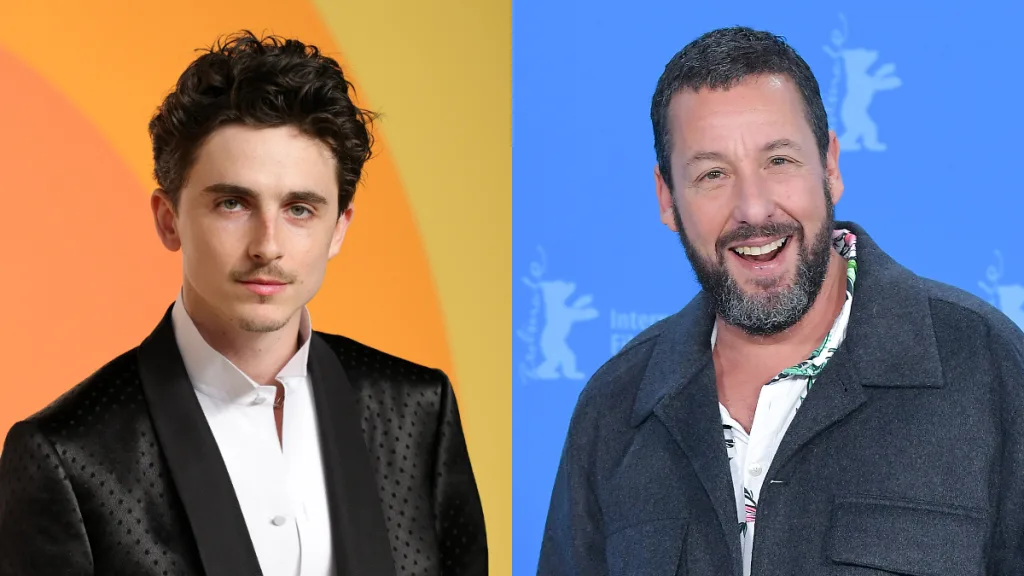 Timothee Chalamet Adam Sandler