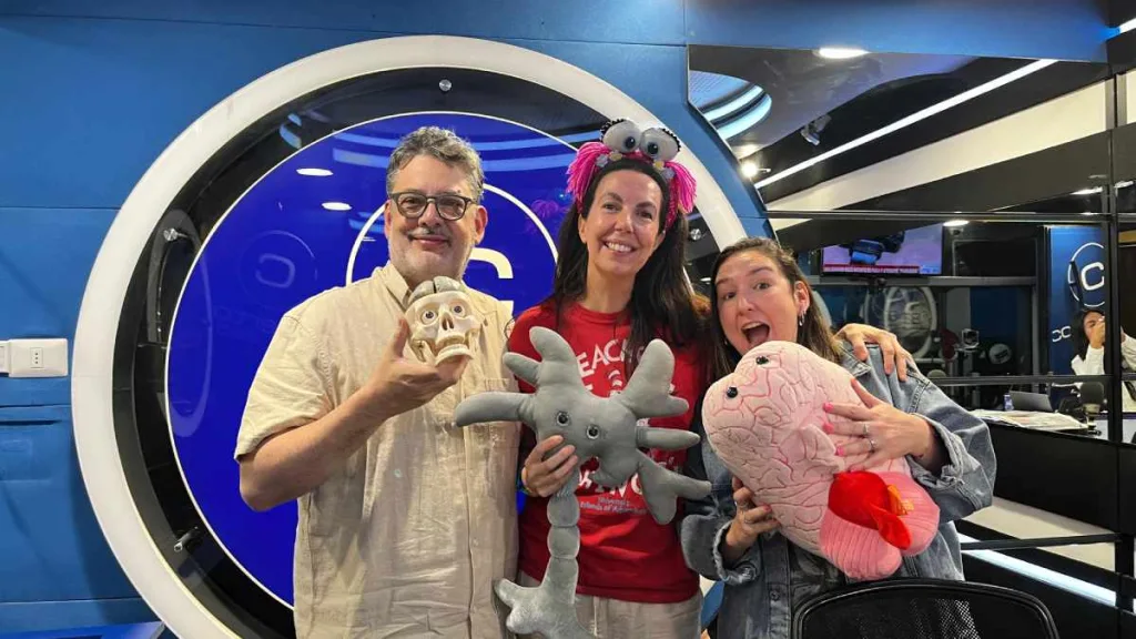 Prohibicion De Pantallas