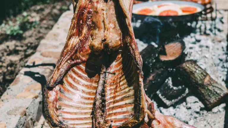 Portada Concierto (5)