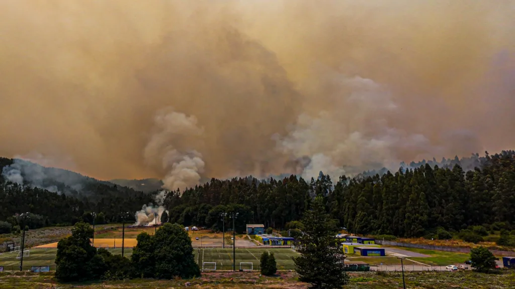 Incendios Forestales (1)