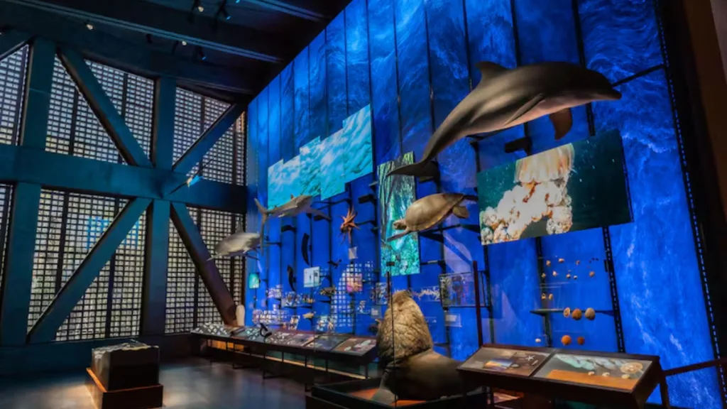 Museo Regional de Atacama