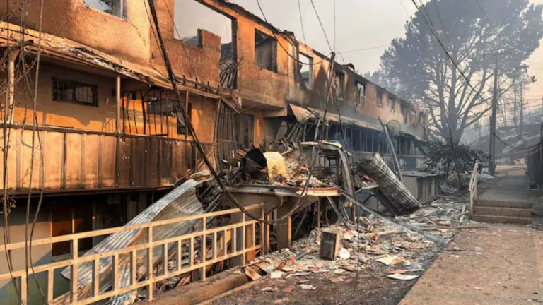 Incendios forestales chile