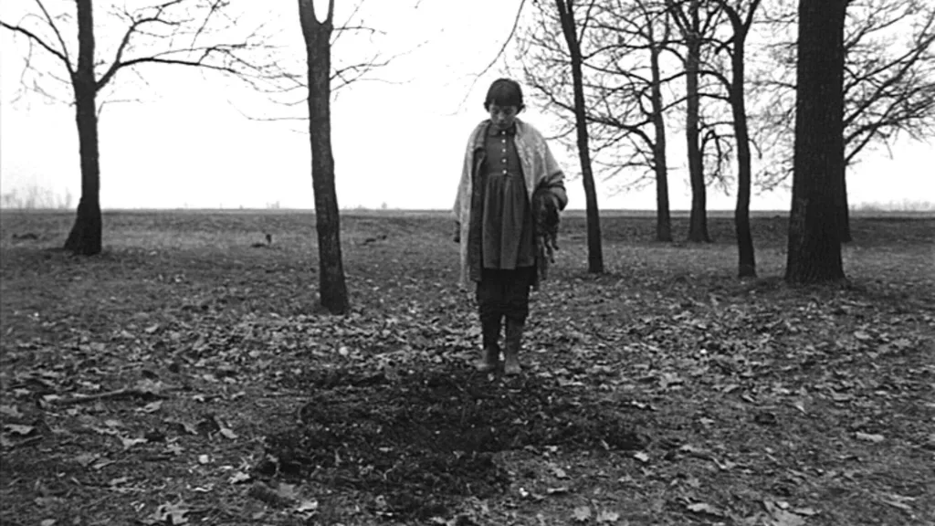 Sátántangó, Martin Scorsese