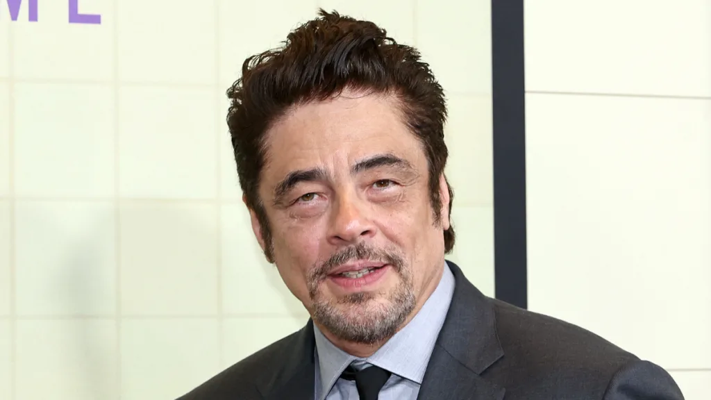Benicio Del Toro