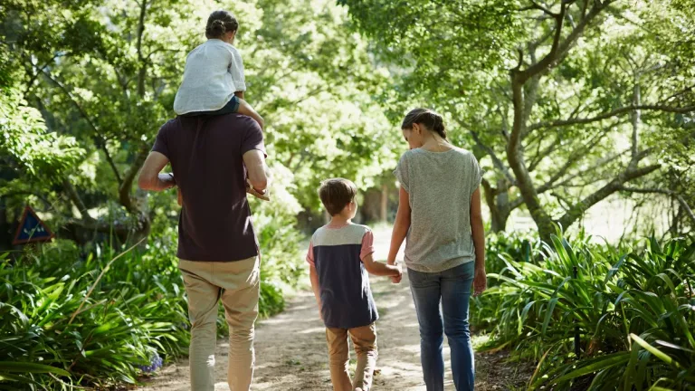 prevención de la demencia