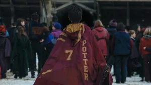 Harry Potter