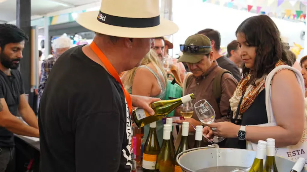 Vendimia De Santa Cruz