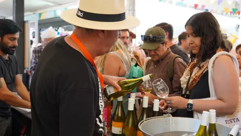 Vendimia De Santa Cruz