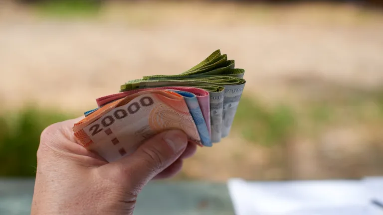 Billete Chileno