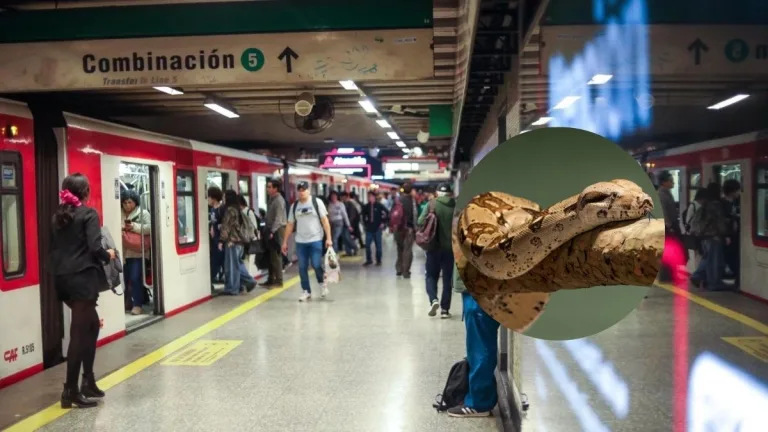 Metro De Santiago, Serpiente
