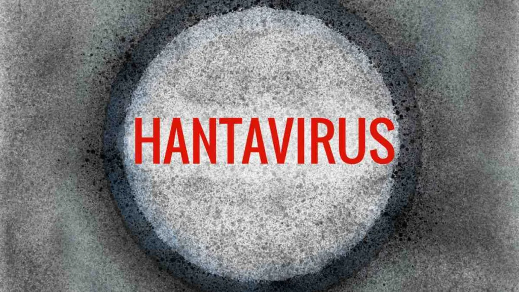 Hantavirus