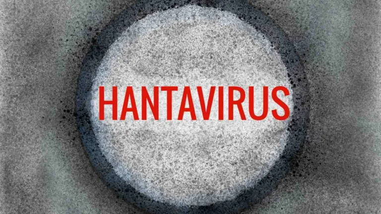 Hantavirus