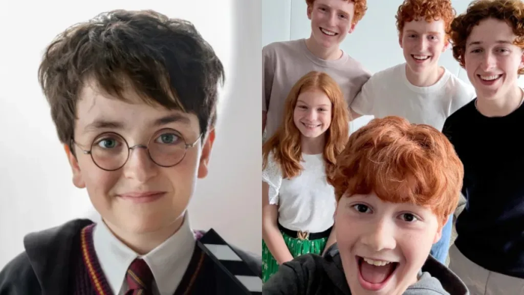 Harry Potter HBO