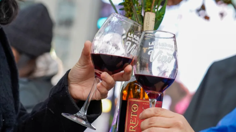 Los Caminos Del Vino
