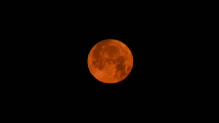 Luna De Fresa