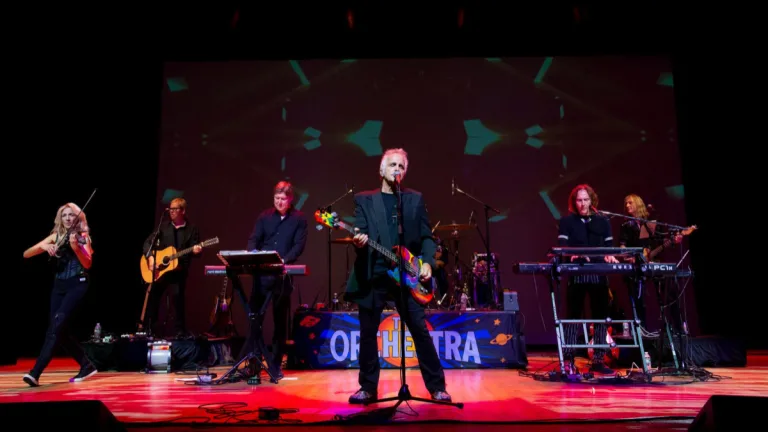 The Orchestra