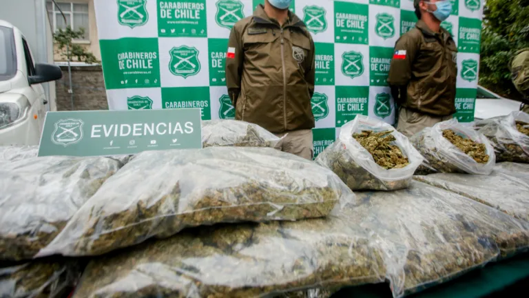 Crimen Organizado