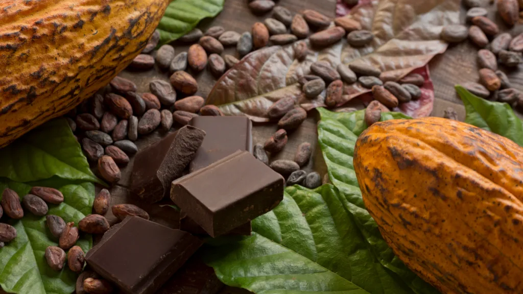 Día Del Cacao