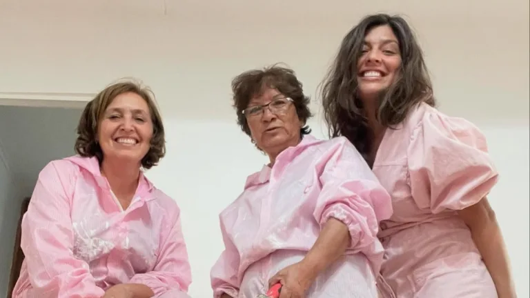 Impacto Social De Pink Painters