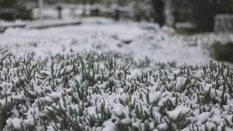 Nieve En Santiago