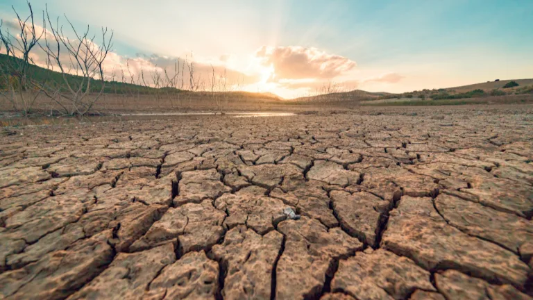 Crisis Climática