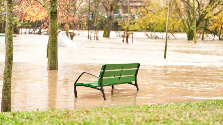 Parque Inundado