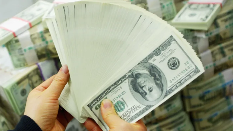 Precio Del Dolar (7)
