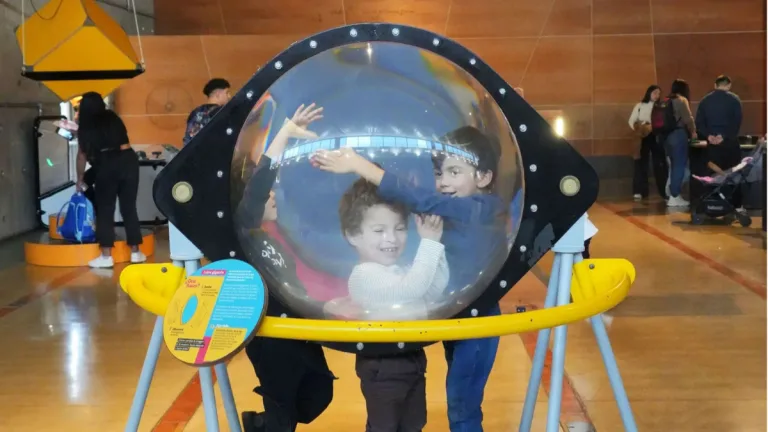 Día Del Niño