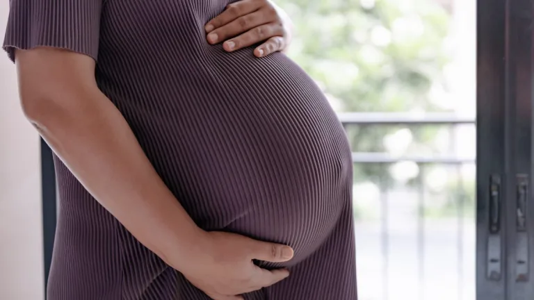Maternidad Embarazo