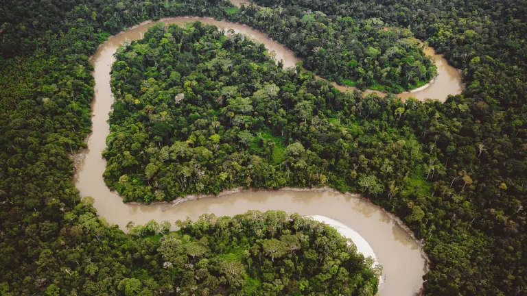 Petrobras Descubre Hidrocarburos En Amapá
