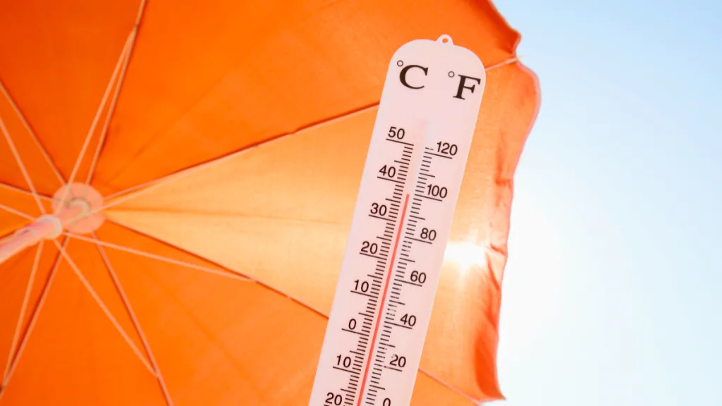 Calor