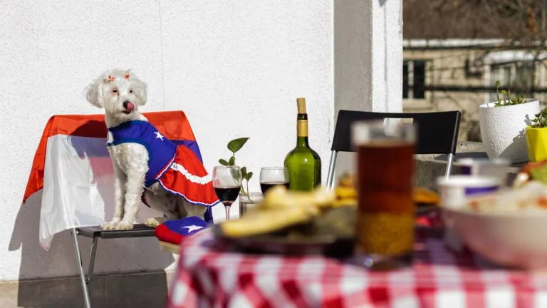 Mascotas Fiestas Patrias