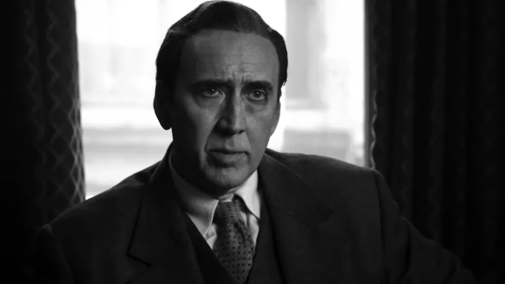 Nicolas Cage Spider Noir