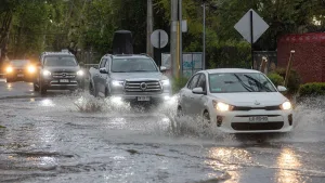 LLuvia Santiago (1)