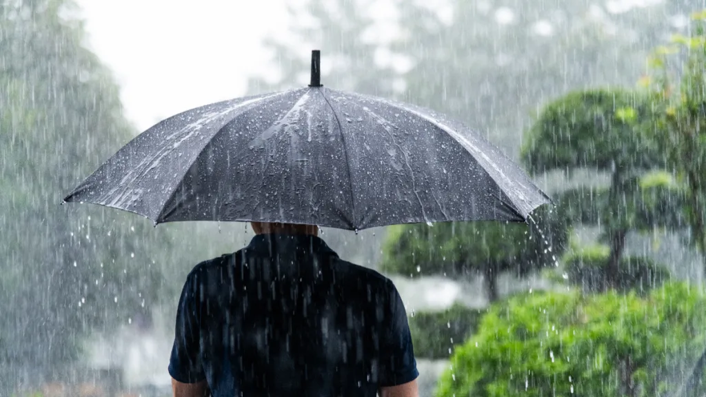 Lluvia (8)