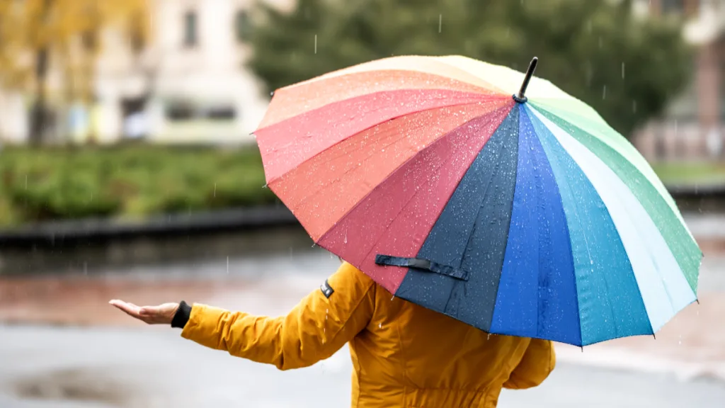 Lluvia (10)
